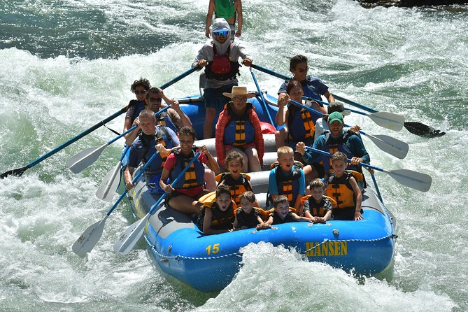 Whitewater Rafting in Jackson Hole : Family Standard Raft - Who should book this Snake River trip?