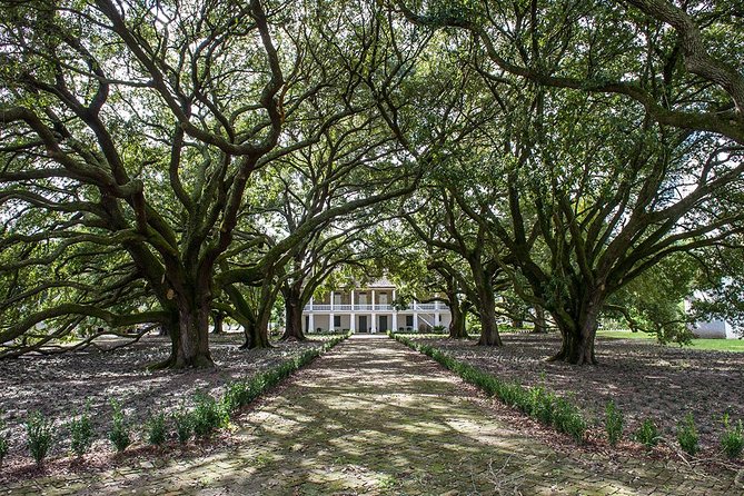 Whitney Plantation Tour with Transportation from New Orleans - Food, comfort, and the optional swamp ride