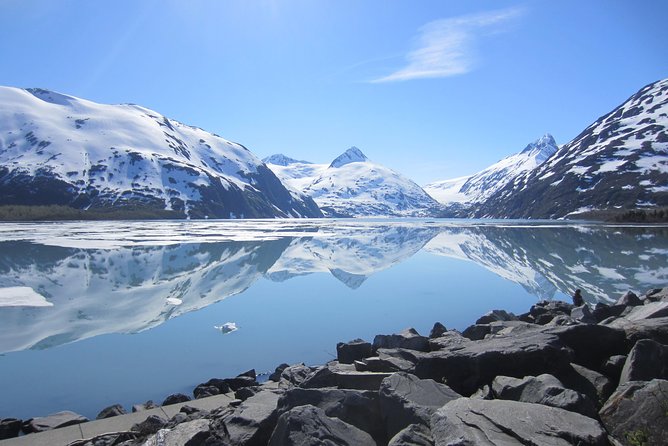 Wildlife and Glaciers with a walk in the Rainforest - Alaska Wildlife Conservation Center: the most dependable wildlife stop