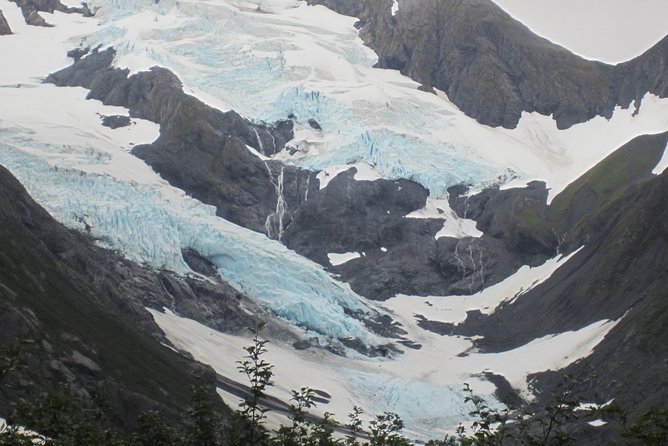 Wildlife and Glaciers with a walk in the Rainforest - Practical details that affect your day