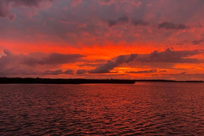 Wildlife Tour of Indian River Lagoon with Experienced Captain - A Two-Hour Cruise Through Florida’s Estuary