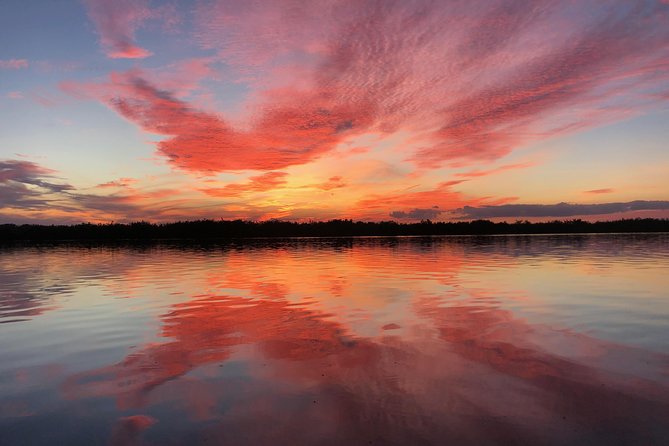 Wildlife Tour of Indian River Lagoon with Experienced Captain - Turtle Mound and Canaveral National Seashore