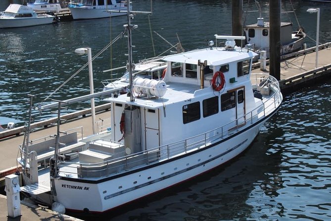 Wildlife Viewing, Sightseeing and Whale Watching Quest - What the boat provides on a rainy Ketchikan day