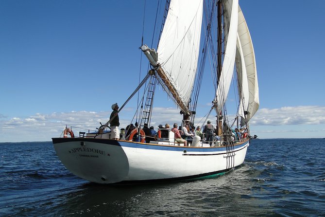 Windjammer Classic Day Sail from Camden, Maine - Why the Appledore II feels different from a basic harbor cruise