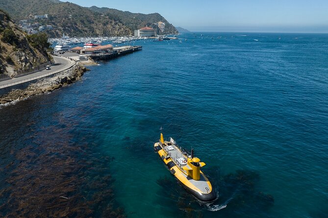Yellow Semi-Submarine Tour of Catalina Island From Avalon - Seeing Catalina beneath the surface