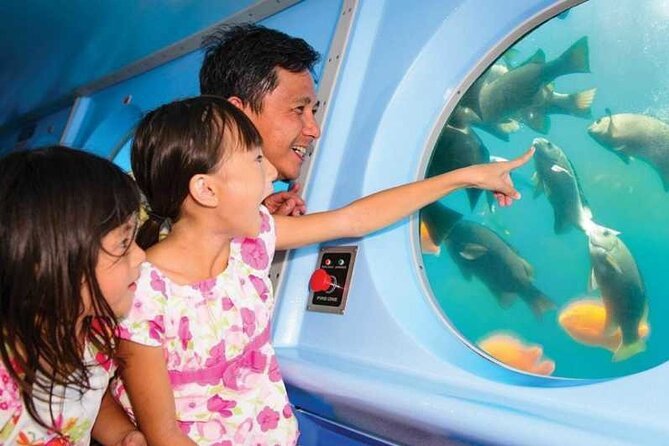 Yellow Semi-Submarine Tour of Catalina Island From Avalon - The guide makes a short trip better