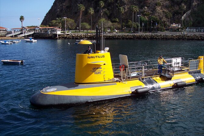 Yellow Semi-Submarine Tour of Catalina Island From Avalon - The ride back to Avalon