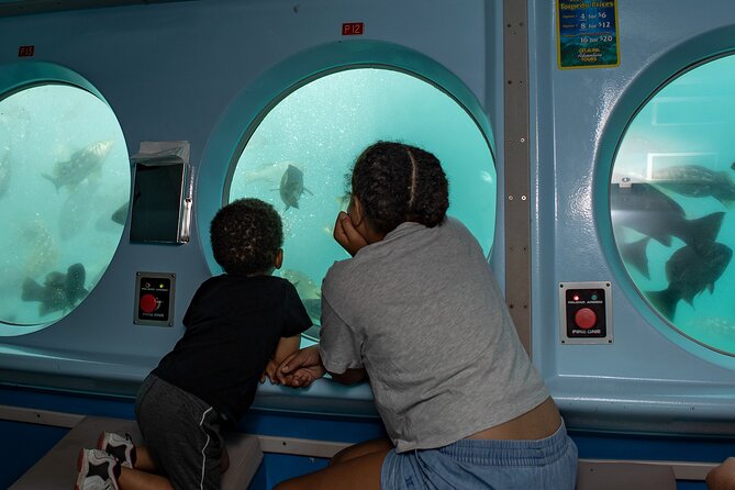 Yellow Semi-Submarine Tour of Catalina Island From Avalon - Is $53 a fair price?