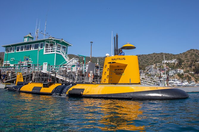 Yellow Semi-Submarine Tour of Catalina Island From Avalon - Who will enjoy this most?