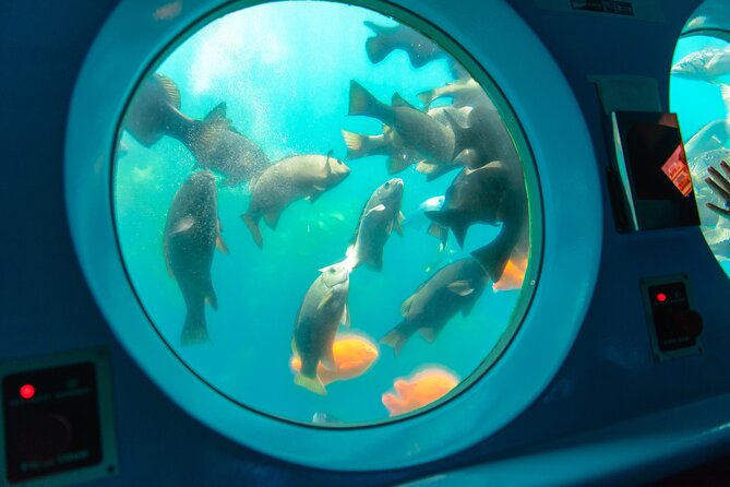 Yellow Semi-Submarine Tour of Catalina Island From Avalon - Choosing your seat and managing the windows