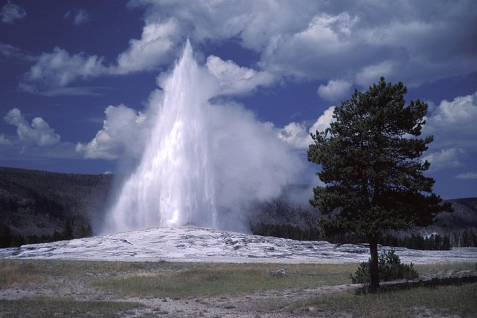 Yellowstone Lower Loop Full-Day Tour - The Grand Canyon and the Lower Falls
