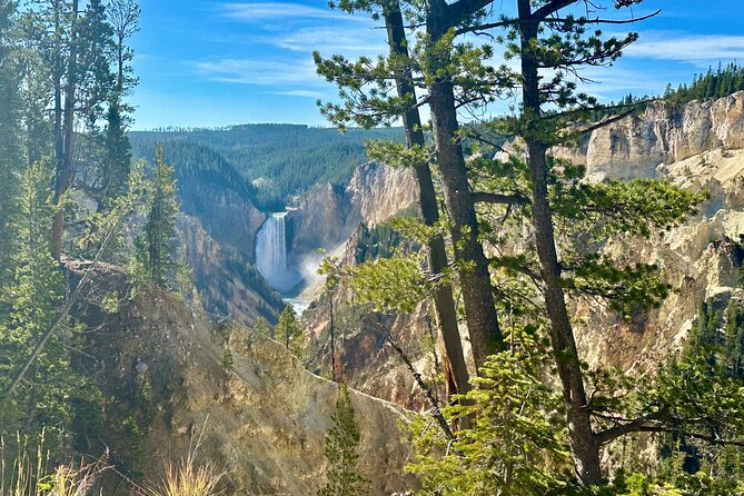 Yellowstone Lower Loop Full-Day Tour - Hayden Valley and the search for wildlife