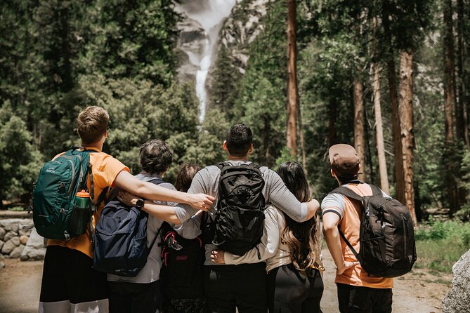 Yosemite Highlights & Giant Sequoias Day Tour from San Francisco - El Capitan and Valley View