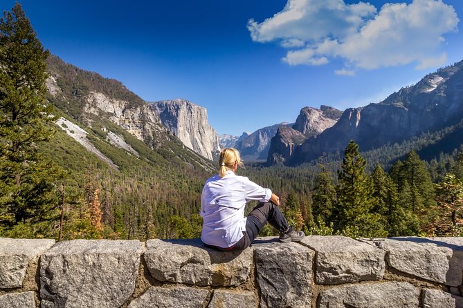Yosemite Highlights & Giant Sequoias Day Tour from San Francisco - Guides make the long road feel shorter