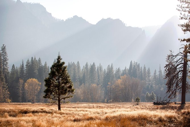 Yosemite Highlights & Giant Sequoias Day Tour from San Francisco - Tunnel View gives you the grand introduction